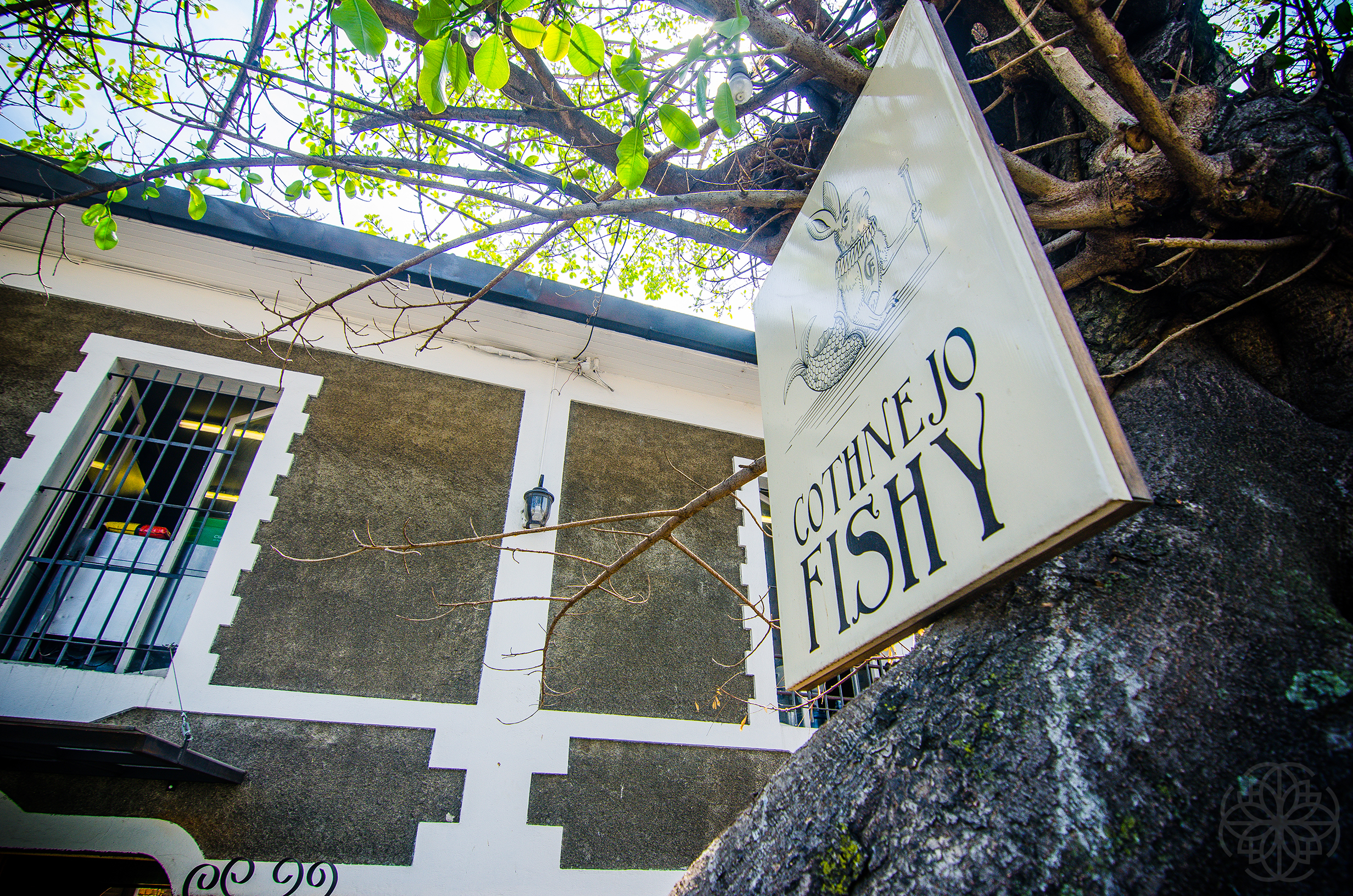 Cantina Cotnejo Fishy - imagen 2