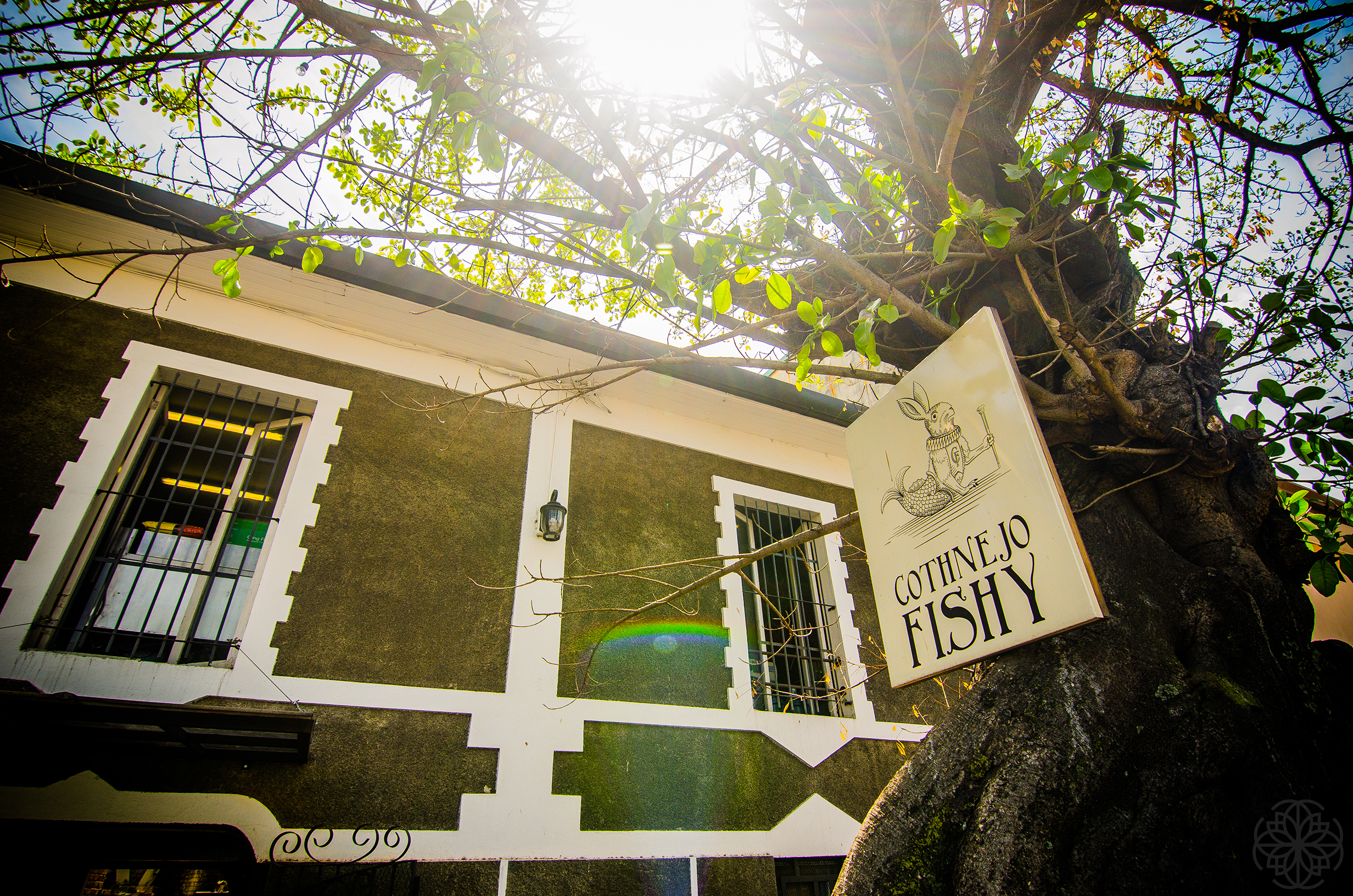 Cantina Cotnejo Fishy - imagen 3